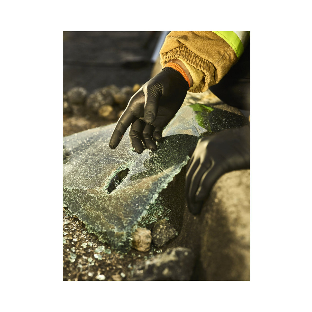 Exam Glove Black-Fire* Medium NonSterile Nitrile Standard Cuff Length Textured Fingertips Black / Orange Fentanyl Tested - BeHope