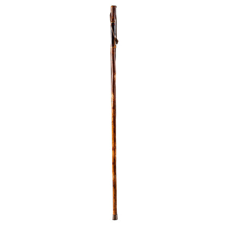 Walking Stick Brazos™ Free Form Wood 55 Inch Height Safari - BeHope