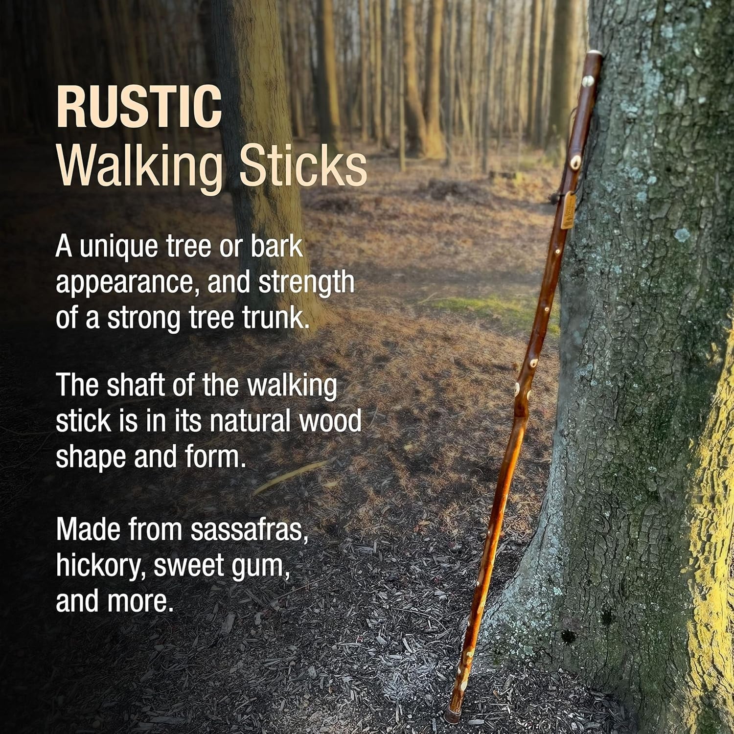Walking Stick Brazos™ Free Form Wood 55 Inch Height Maple - BeHope