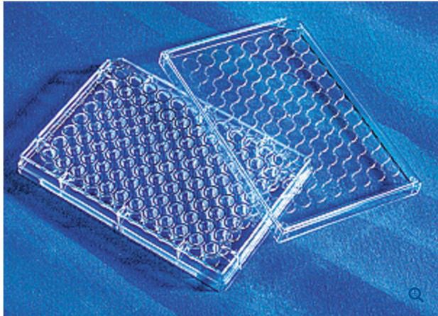 96-Well Microplate Costar™ Clear Sterile - BeHope