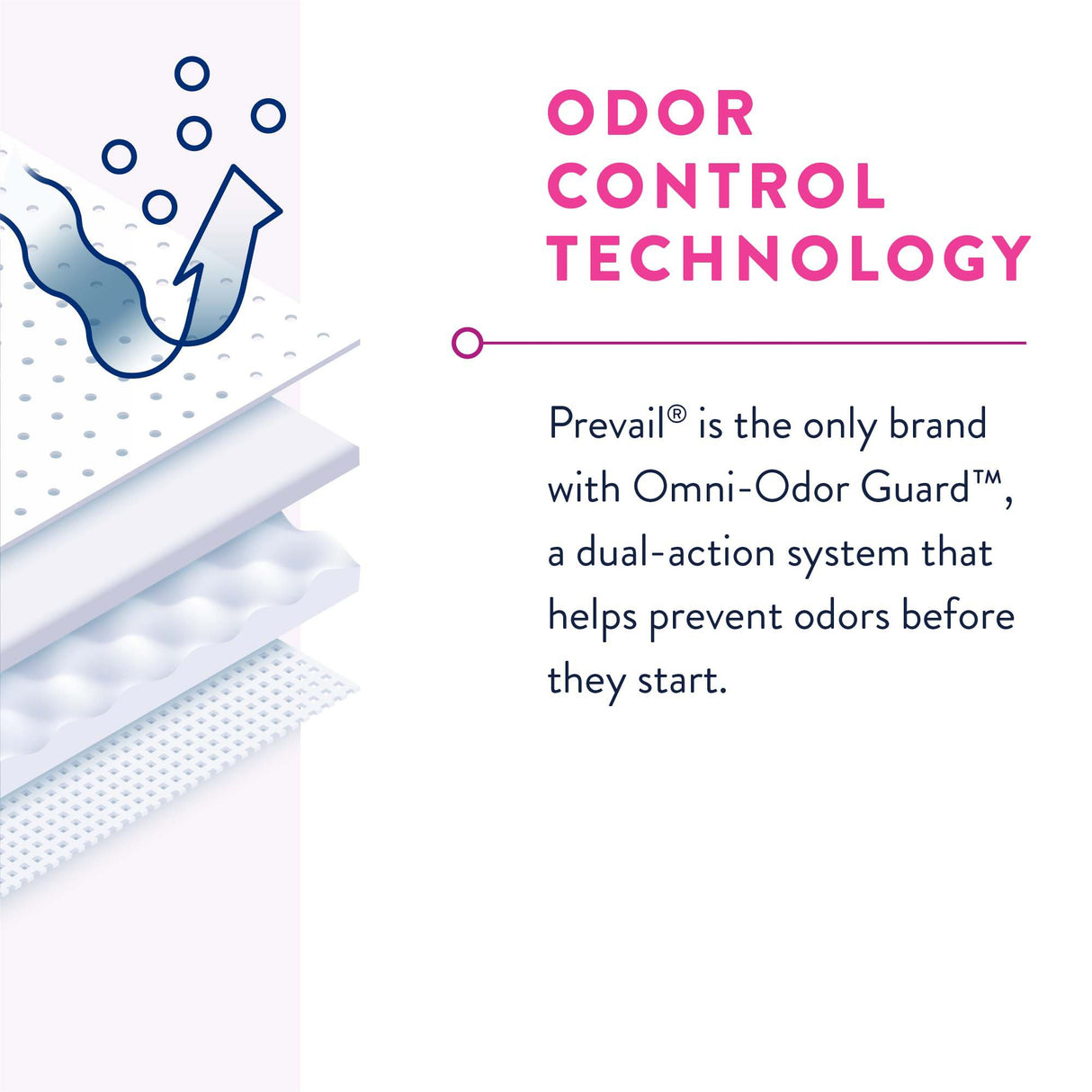 Female Adult Absorbent Underwear Prevail® Daily Underwear Pull On with Tear Away Seams X-Large Disposable Heavy Absorbency - BeHope