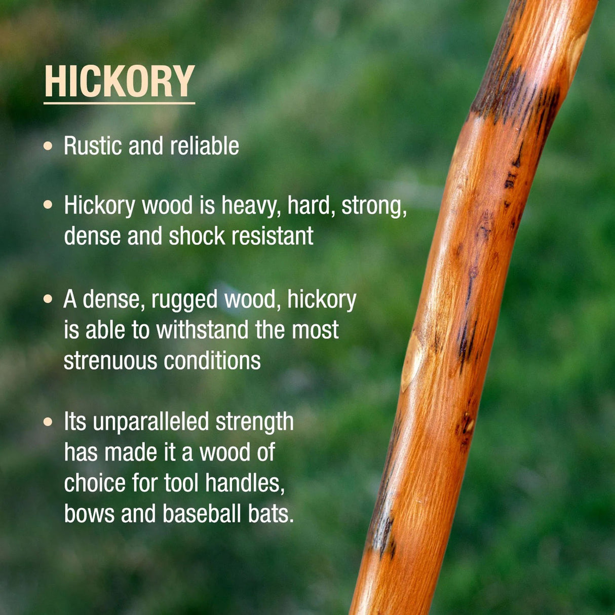 Walking Stick Brazos™ Free Form Wood 55 Inch Height Safari - BeHope