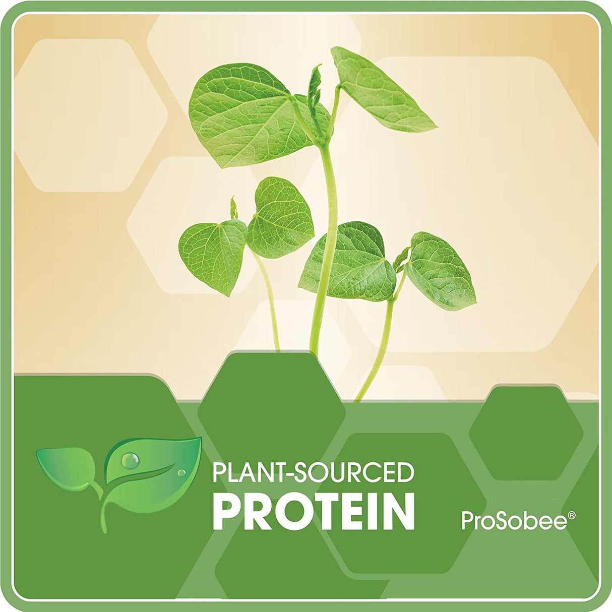 Infant Formula Enfamil® ProSobee® Unflavored 32 oz. Bottle Liquid Soy Lactose Intolerance - BeHope