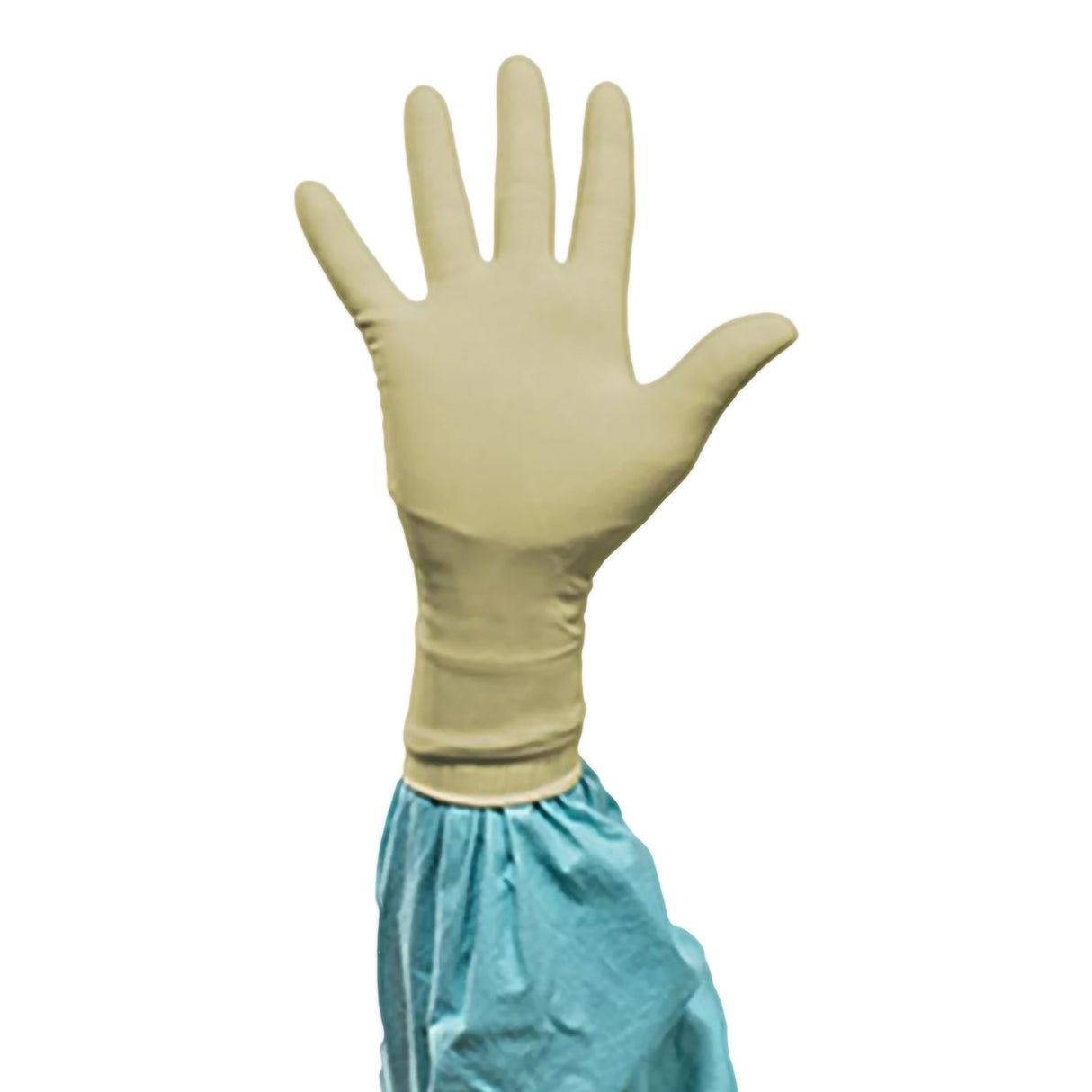 Surgical Glove Biogel® PI Size 7 Sterile Polyisoprene Standard Cuff Length Micro-Textured Ivory Chemo Tested - BeHope