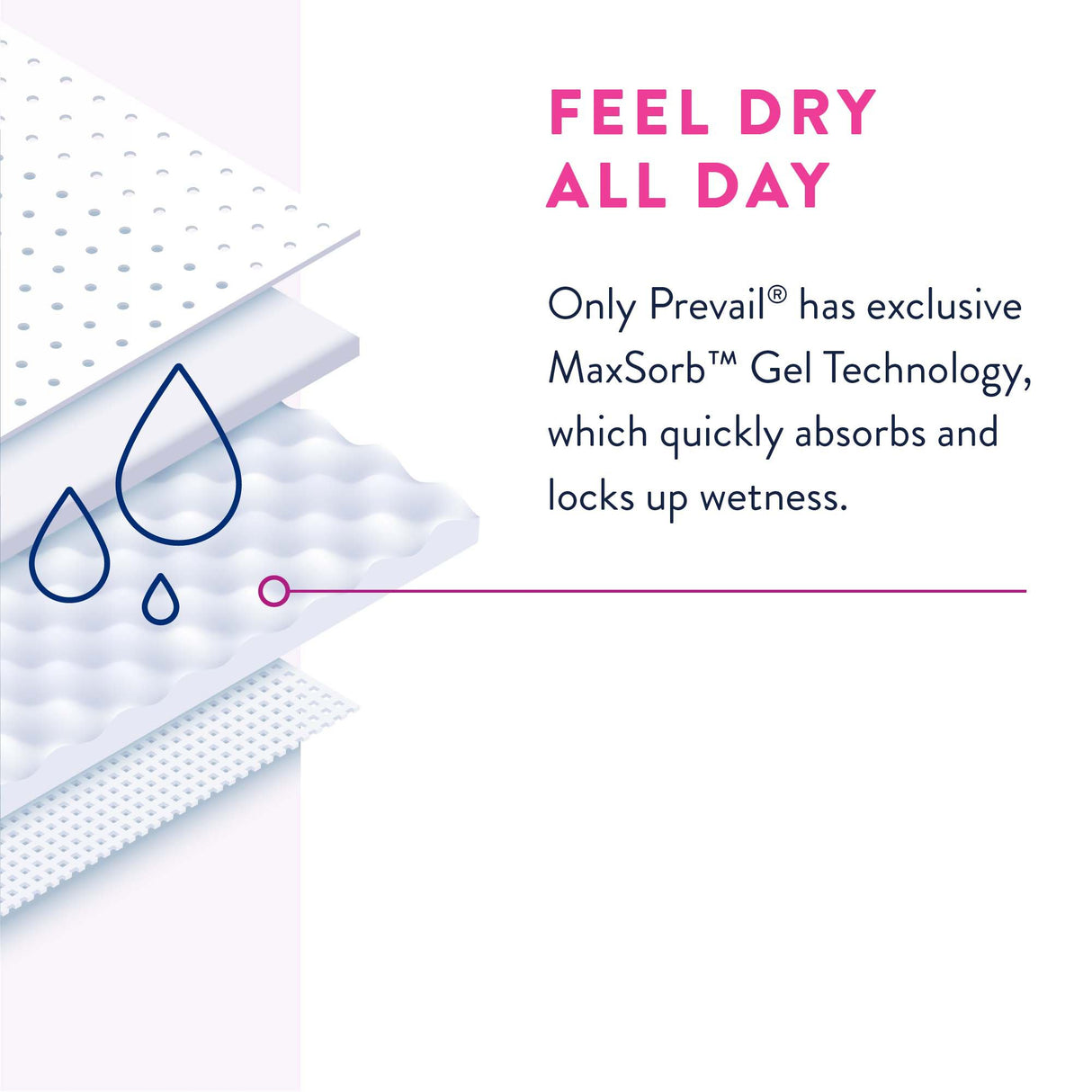 Female Adult Absorbent Underwear Prevail® Daily Underwear Pull On with Tear Away Seams 2X-Large Disposable Heavy Absorbency - BeHope