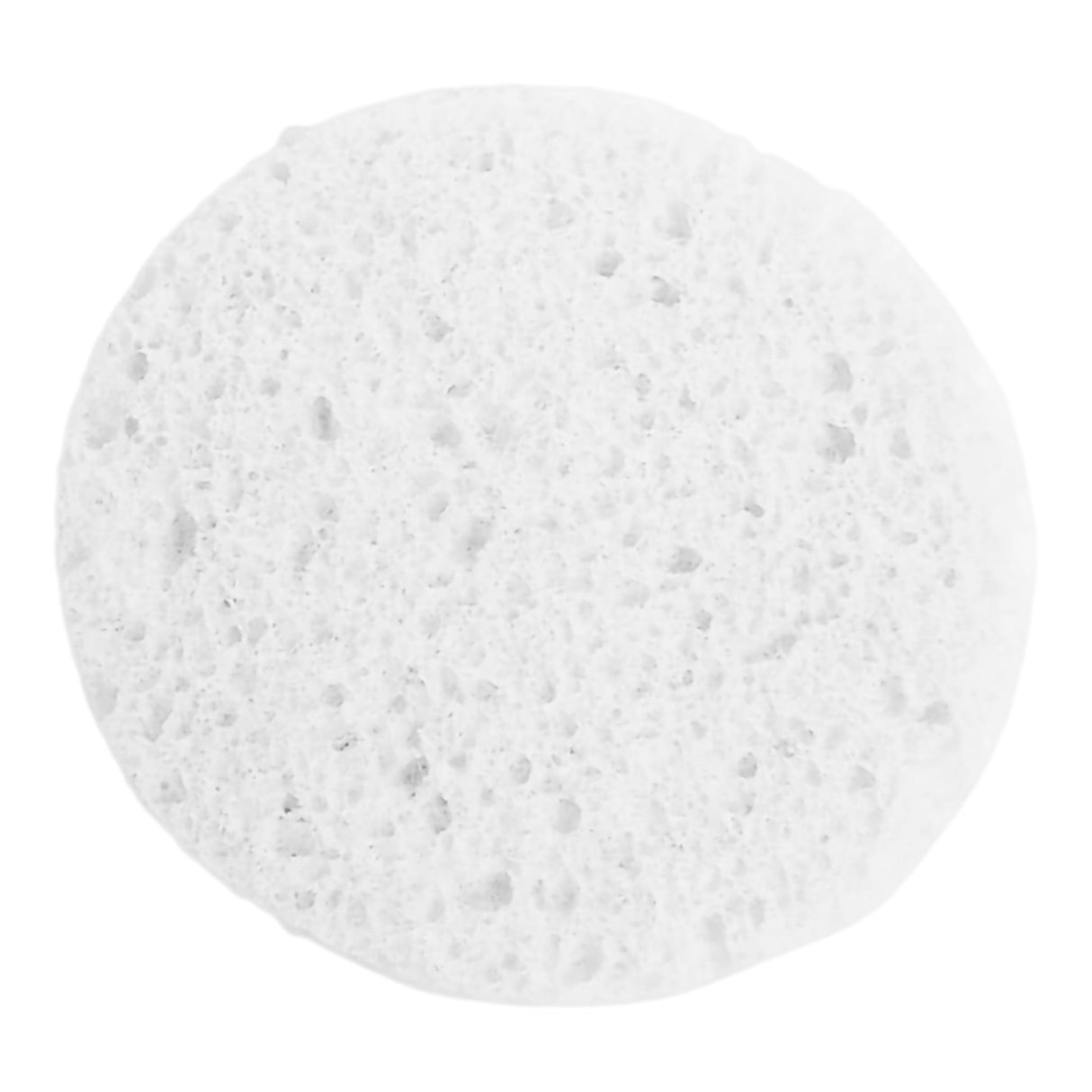 Facial Sponge Prosana 3 X 3/8 Inch - BeHope