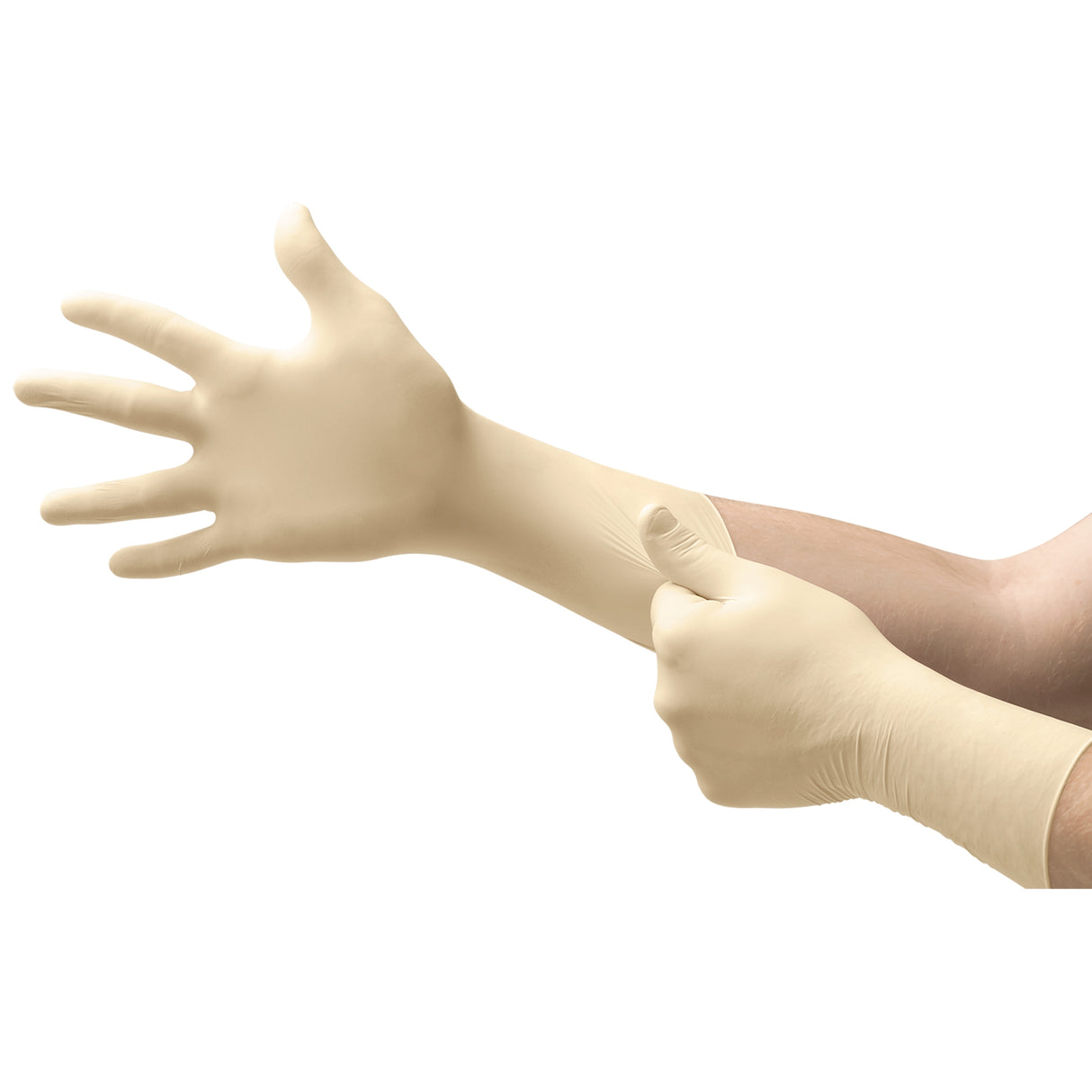 Exam Glove Ultra One® Medium NonSterile Latex Extended Cuff Length Textured Fingertips White Not Rated - BeHope