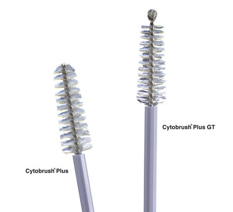 Cytobrush® Plus Cytology Brush 196 mm Length NonSterile - BeHope