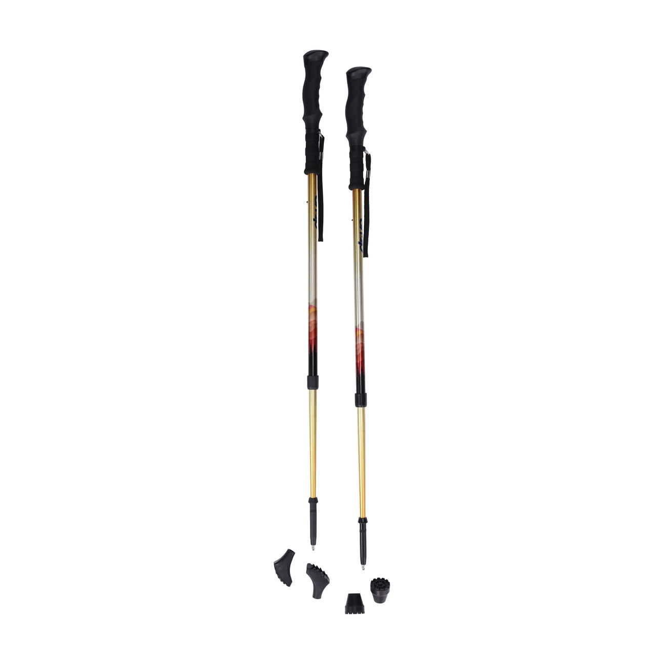Canes & Crutches (L2)