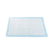 Disposable Underpad McKesson 23 X 36 Inch Polymer Moderate Absorbency - BeHope