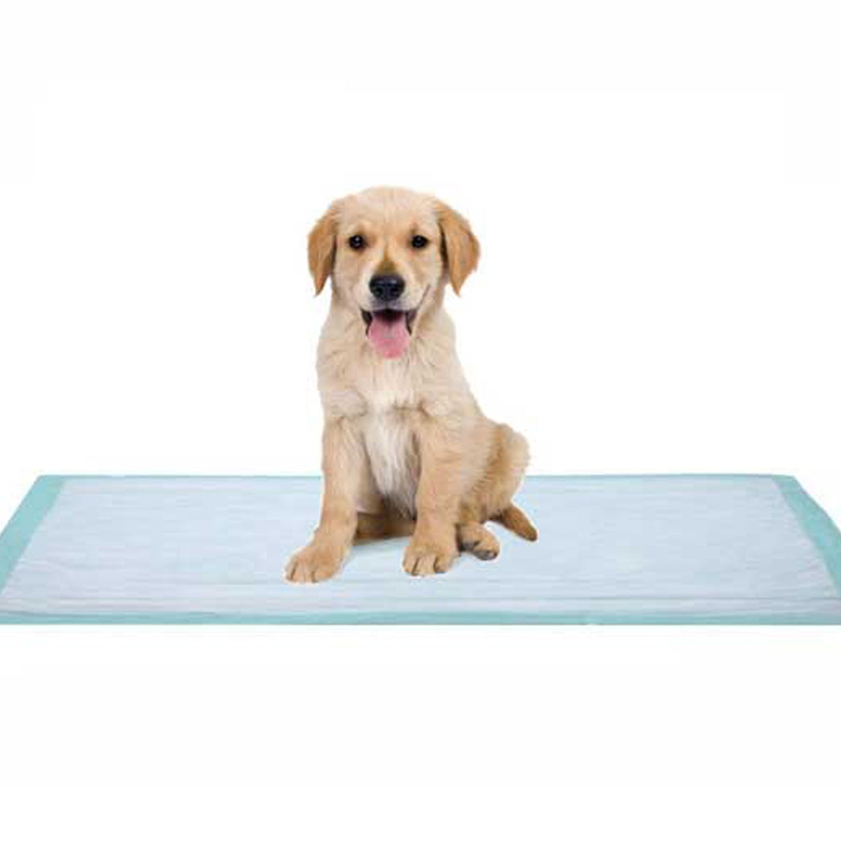 Disposable Underpad DUKAL 17 X 24 Inch Cellulose Light Absorbency - BeHope