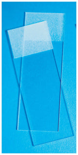 Charged Microscope Slide Fisherbrand™ Superfrost® Plus for Optimal Sample Adhesion - BeHope