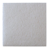 Collagen Dressing McKesson 4 X 4 Inch Square Sterile - BeHope