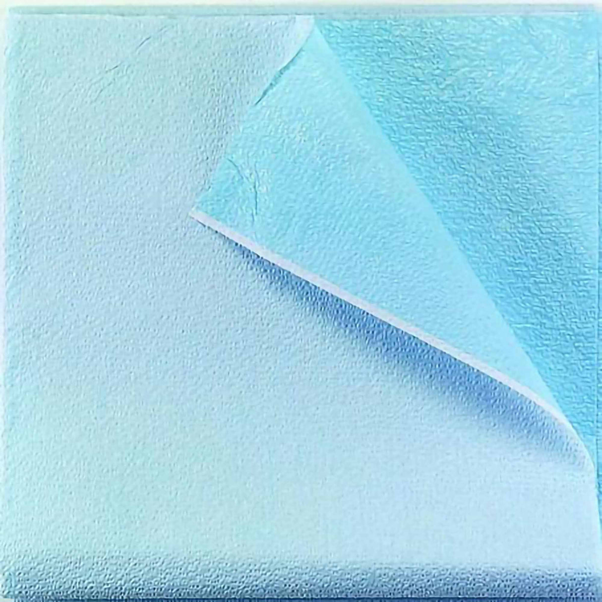Stretcher Sheet Tidi® Everyday Flat 40 X 72 Inch Blue Tissue / Polyethylene Film Disposable - BeHope