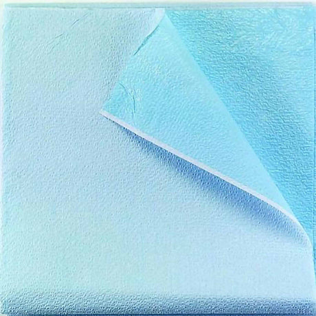 Stretcher Sheet Tidi® Everyday Flat 40 X 72 Inch Blue Tissue / Polyethylene Film Disposable - BeHope