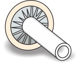 Male External Catheter Uro-Con® Non-Adhesive Latex Medium - BeHope