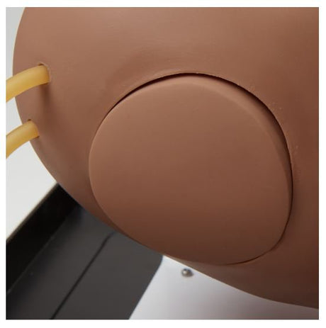 Simulaids® Deluxe Full Arm IV and IM Injection Trainer - BeHope