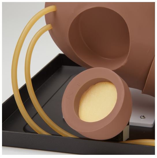 IV Training Arm Simulaids® Deluxe Gender Neutral PVC - BeHope