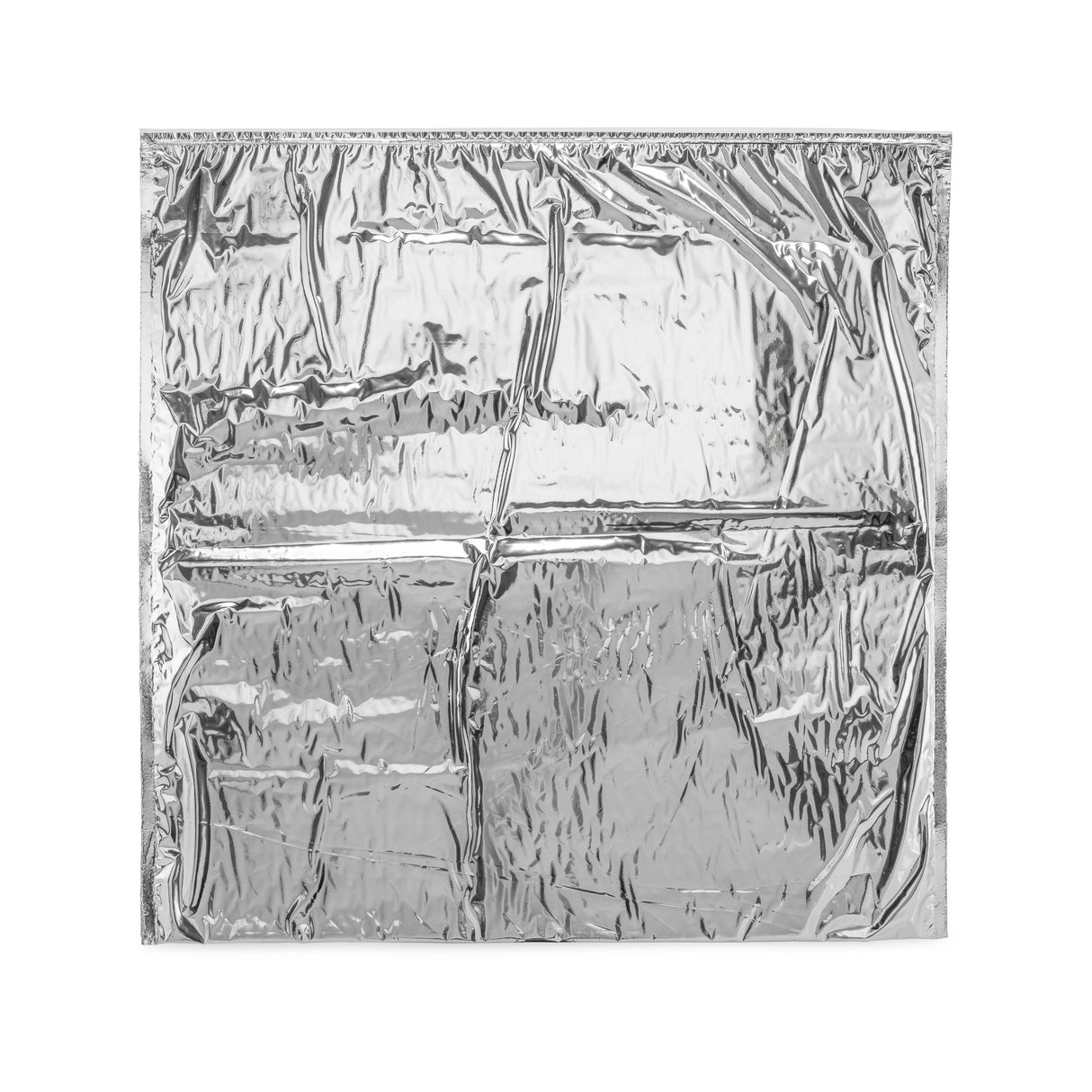 Kold-to-go Thermal Insulated Mailing Pouch for Cold Food Transport - BeHope