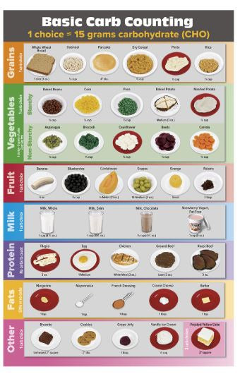 Carb Counting Food Replica Kit - BeHope