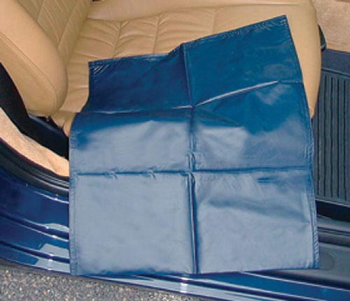 Glissière de transfert SafetySure CarEase