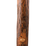 Walking Stick Brazos™ Free Form Wood 58 Inch Height Safari - BeHope