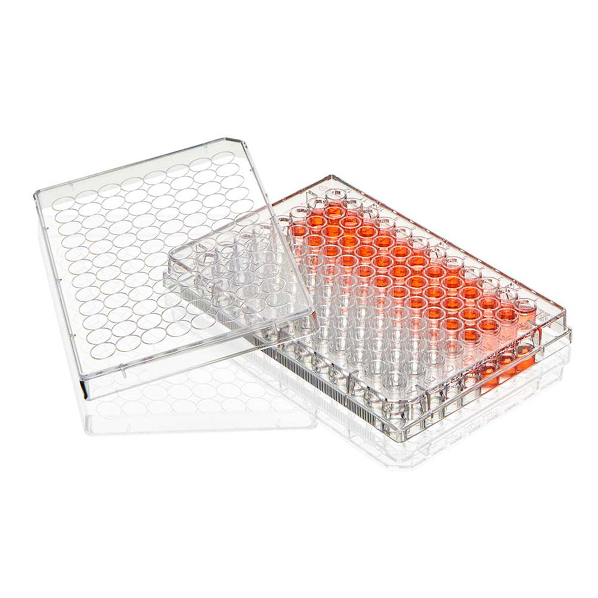 96-Well Microplate Diamond® SureGro™ Flat Bottom / Tissue Culture Treated 0.2 mL Clear Sterile - BeHope