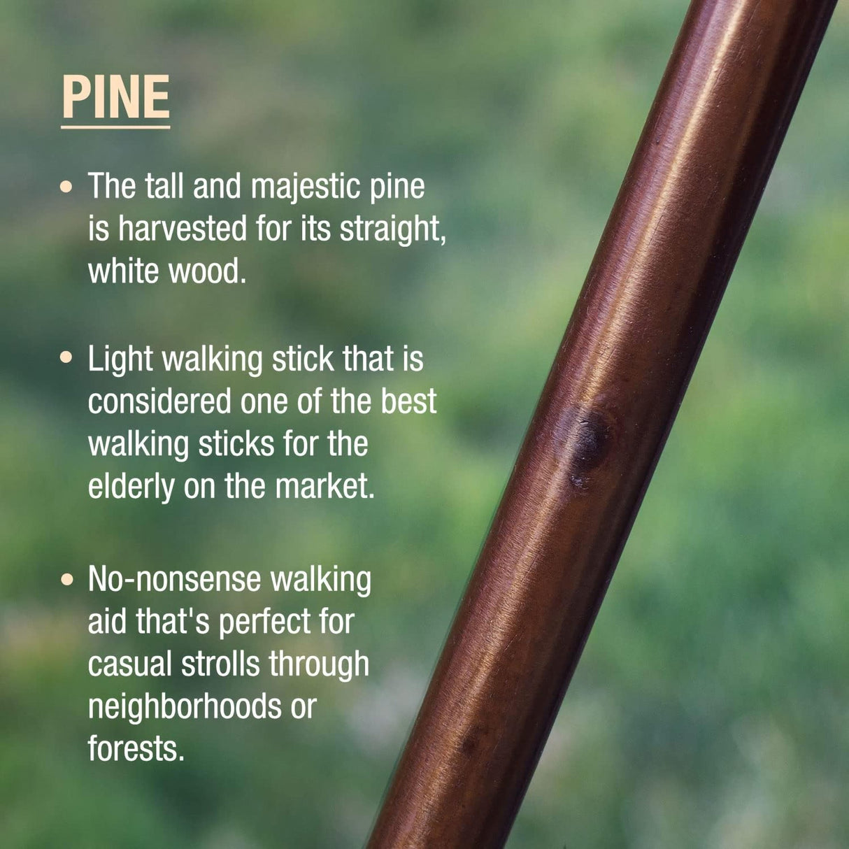 Walking Stick Brazos™ Free Form Wood 48 Inch Height Brown - BeHope