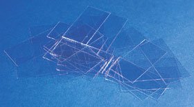 Cover Glass Rectangle No. 2 Thickness 24 X 60 mm - BeHope