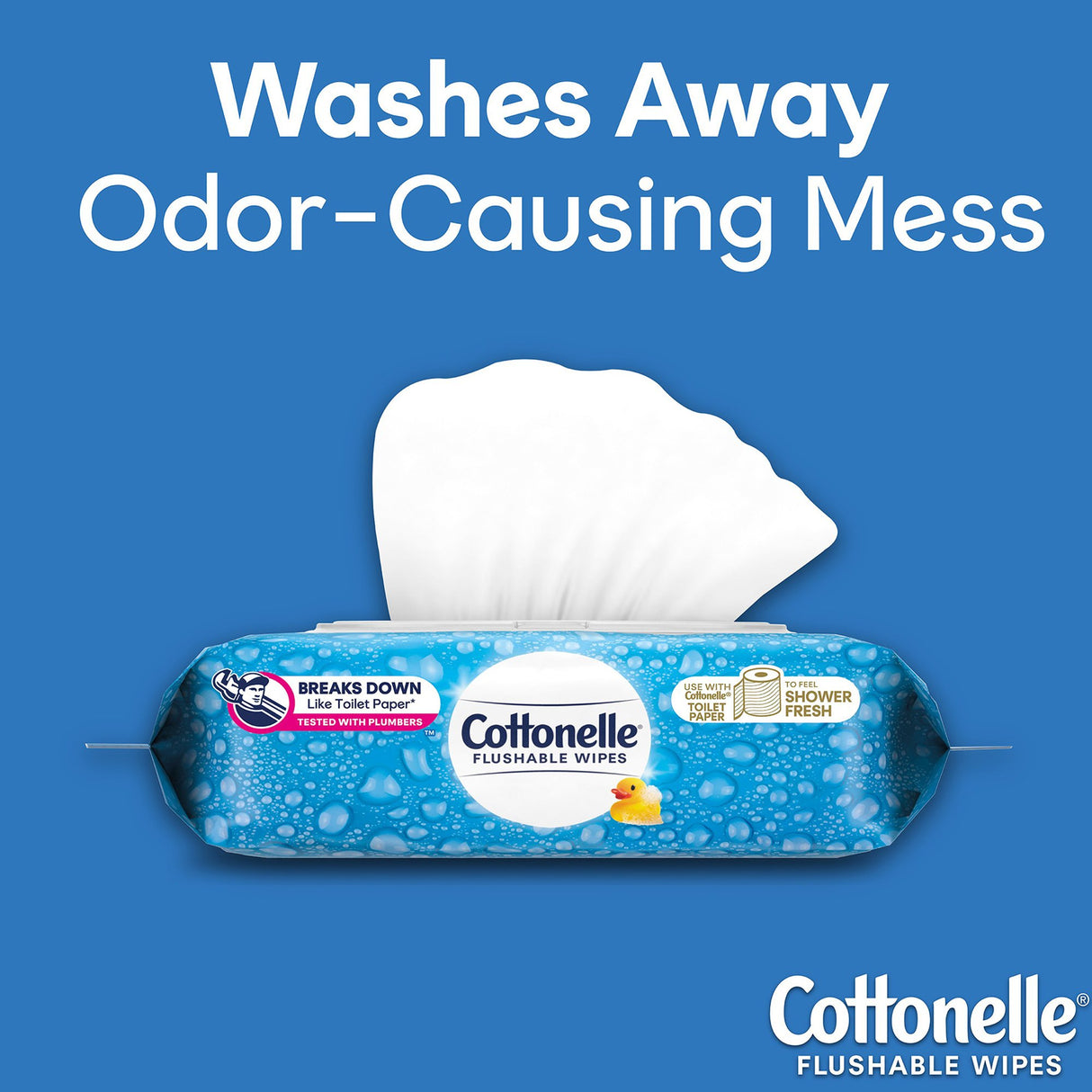 Flushable Personal Wipe Cottonelle® FreshCare® Soft Pack Scented 42 Count - BeHope