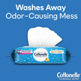 Flushable Personal Wipe Cottonelle® FreshCare® Soft Pack Scented 42 Count - BeHope
