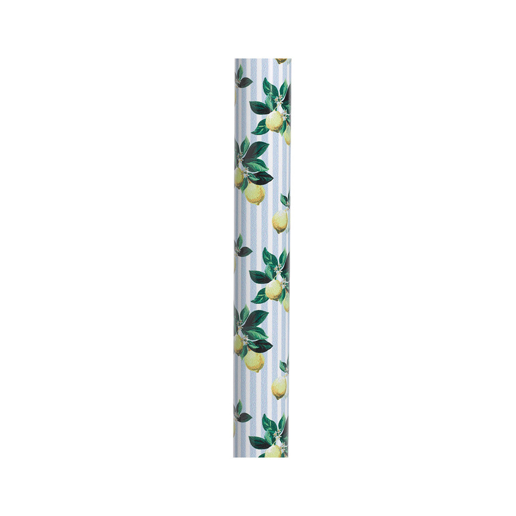 Comfort Grip Cane -BeHope