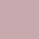 Procedure Towel Graham Medical® 2-Ply Tissue Poly Nonsterile - BeHope