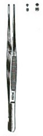 Tissue Forceps Miltex® Semken 5 Inch Length OR / Surgical Grade German Stainless Steel NonSterile NonLocking Thumb Handle Straight 2 X 3 Teeth - BeHope