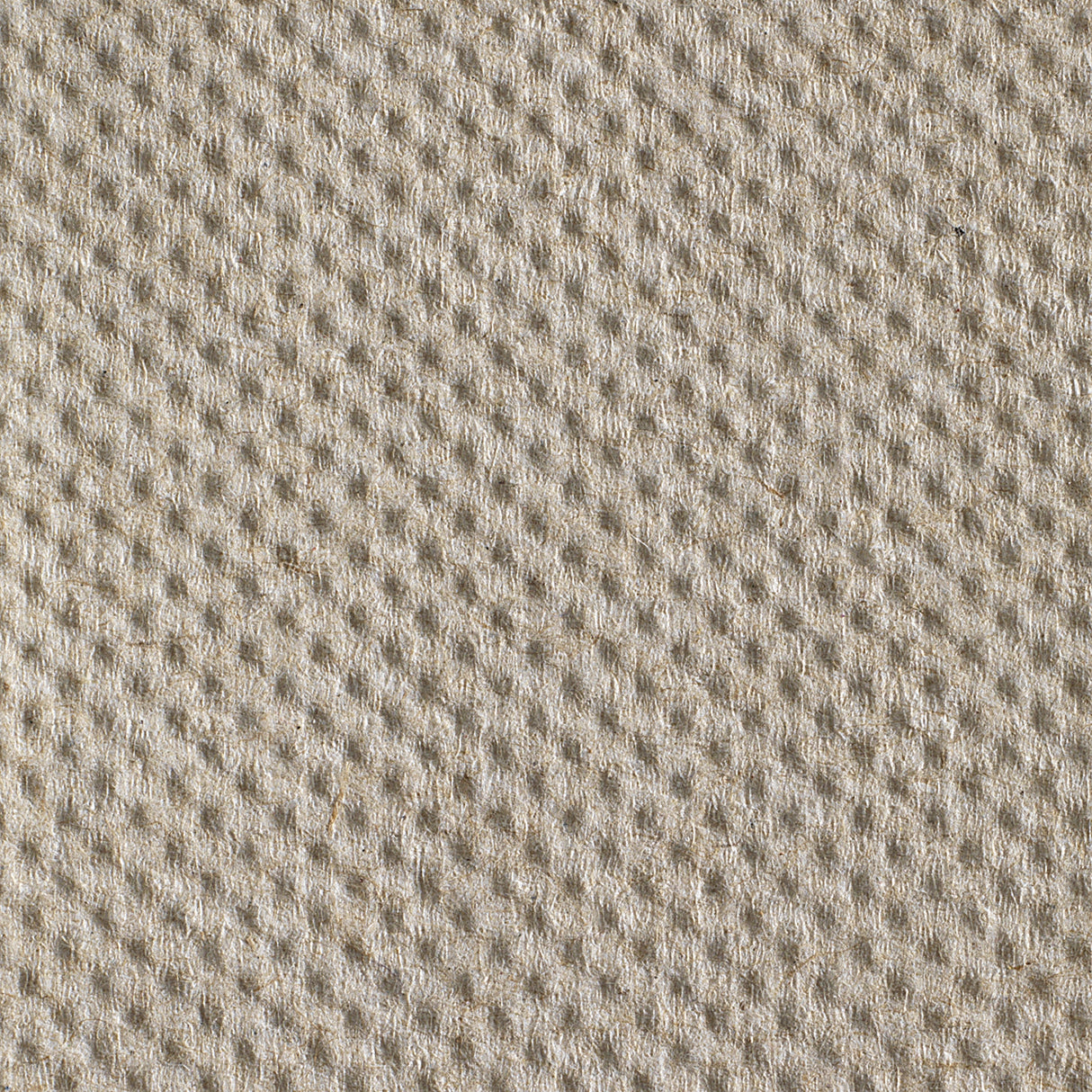 Paper Towel Pacific Blue Basic™ Hardwound Roll 7-7/8 Inch X 800 Foot - BeHope