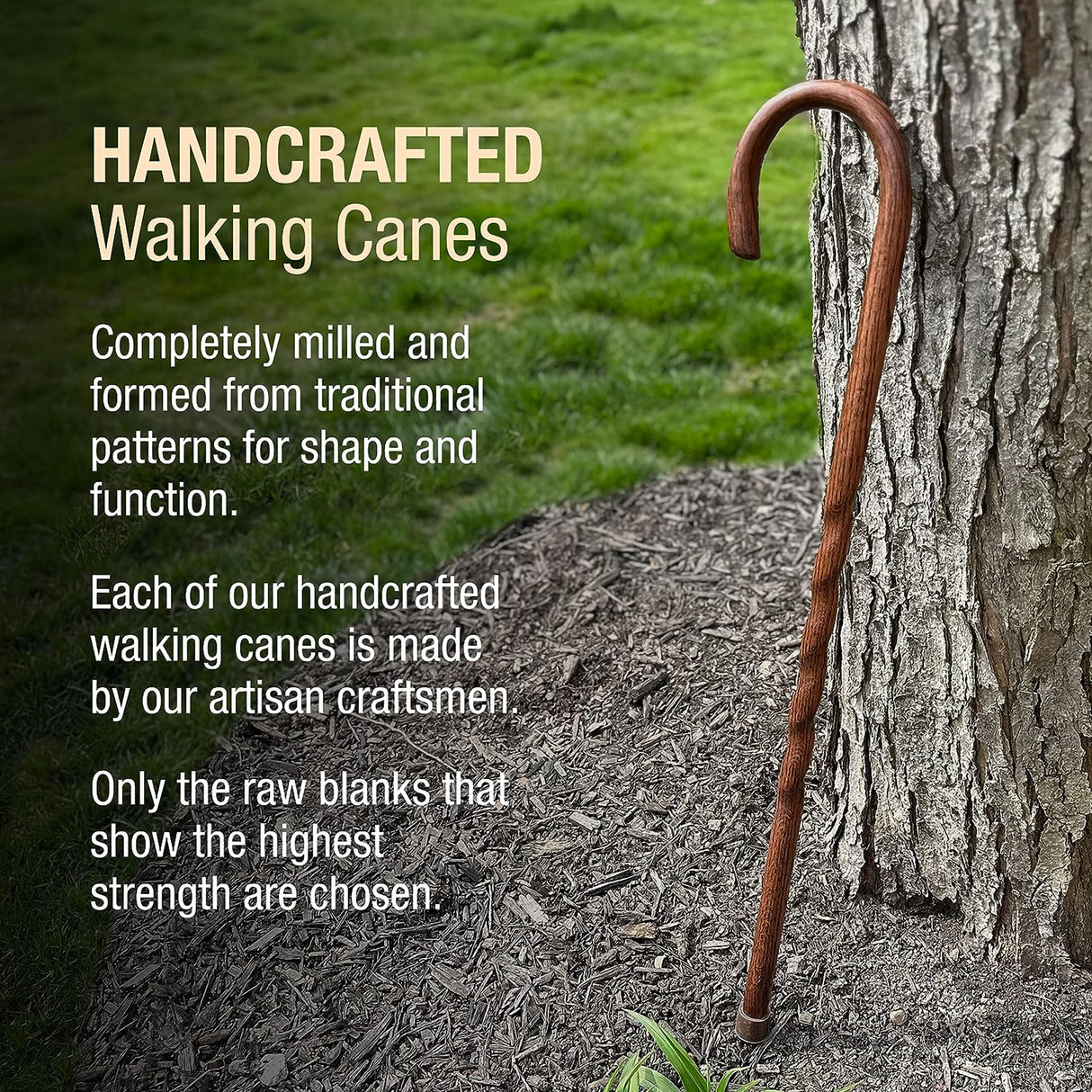 Round Handle Cane Brazos™ Twisted Wood 37 Inch Height Brown Oak - BeHope