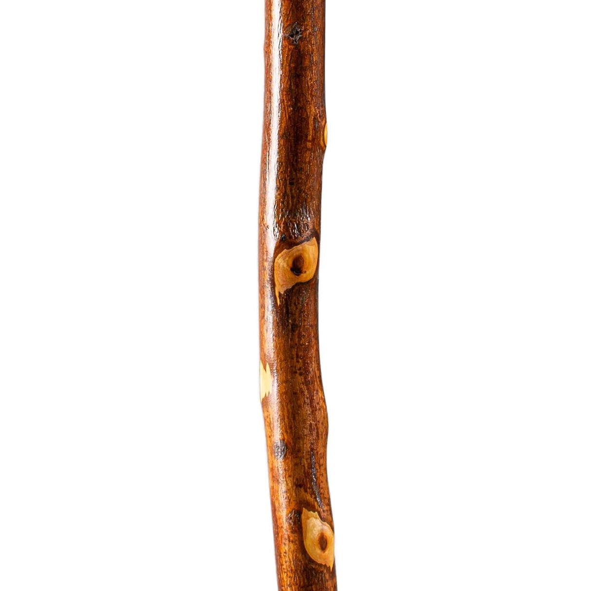 Walking Stick Brazos™ Free Form Wood 55 Inch Height Hawthorn - BeHope