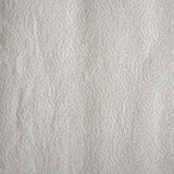 Kitchen Paper Towel Pacific Blue Basic™ Perforated Roll 8-4/5 X 11 Inch - BeHope