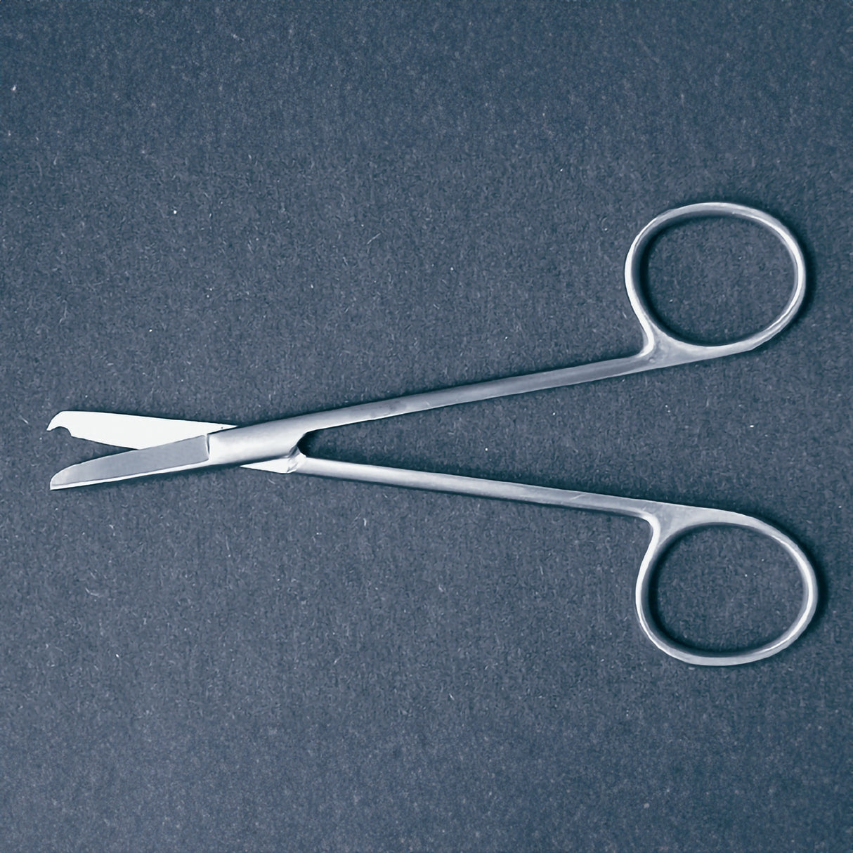 Stitch Scissors McKesson Argent™ Littauer 5-1/2 Inch Length Surgical Grade Stainless Steel NonSterile Finger Ring Handle Straight Blunt Tip / Blunt Tip - BeHope