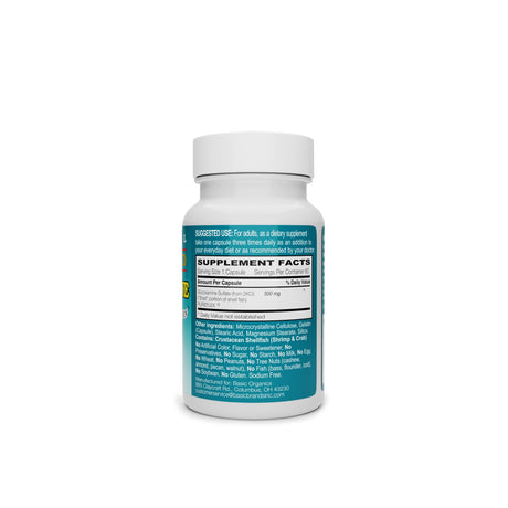 Pura Salud™ Glucosamine HCl Joint Health and Mobility Supplement - BeHope