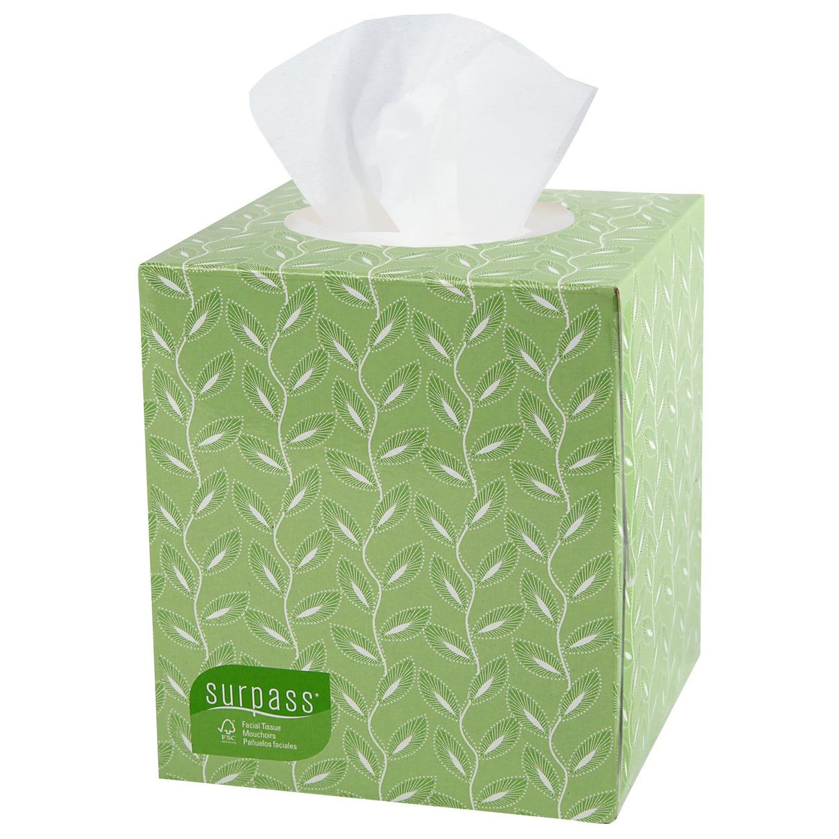 Facial Tissue Surpass Boutique Soft Gentle Everyday Use - BeHope