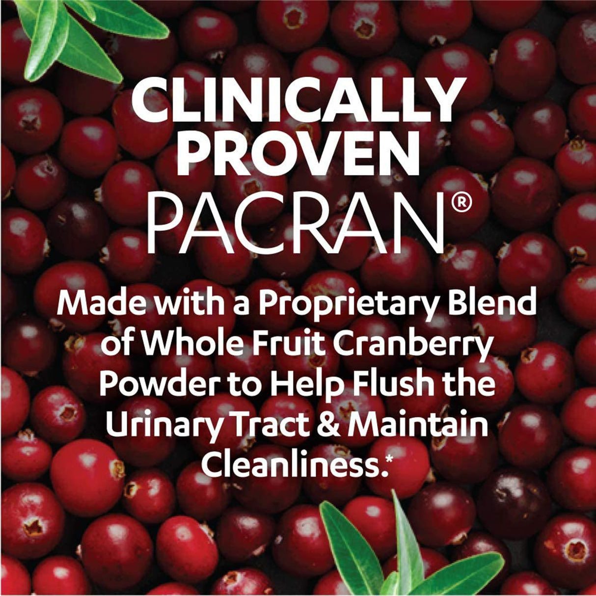 Urinary Tract Health Dietary Supplement AZO® Vitamin C (as ascorbic acid) / Cranberry (Vaccinium macrocarpon) Whole Fruit Powder 120 mg - 500 mg Strength Softgel 100 per Bottle - BeHope