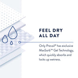 Incontinence Liner Prevail® Daily Pant Liners 12-1/2 Inch Length Moderate Absorbency Polymer Core Small - BeHope