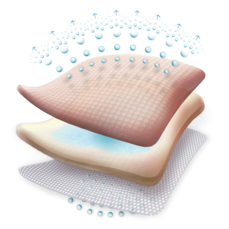 Foam Dressing Allevyn Gentle Border 4 X 4 Inch With Border Film Backing Silicone Gel Adhesive Square Sterile