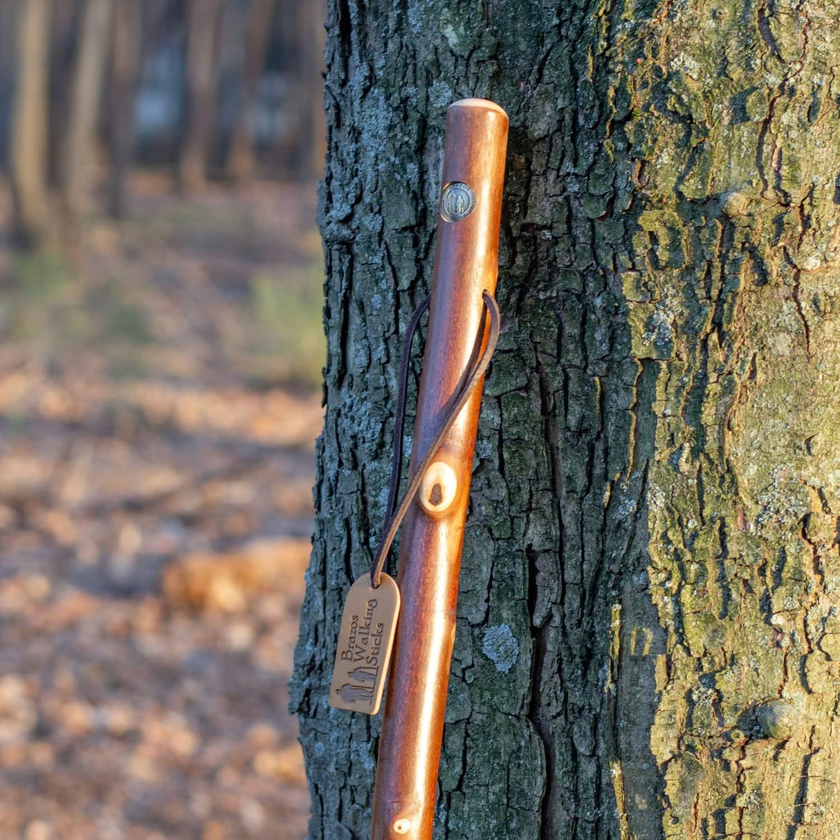 Walking Stick Brazos™ Free Form Wood 55 Inch Height Maple - BeHope