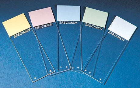 Charged Microscope Slide SP® Superfrost® Plus 25 X 75 X 1 mm White Frosted End - BeHope