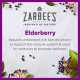 Cold and Cough Relief Zarbee's® Daily Immune Support 356 mg Strength Syrup 8 oz. - BeHope