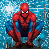 Value Stickers™ 100 per Roll Spider-Man Classic Value Sticker 1-5/8 Inch - BeHope