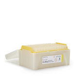 Pipette Tip Piccolo 0.1 mL Without Graduations NonSterile - BeHope