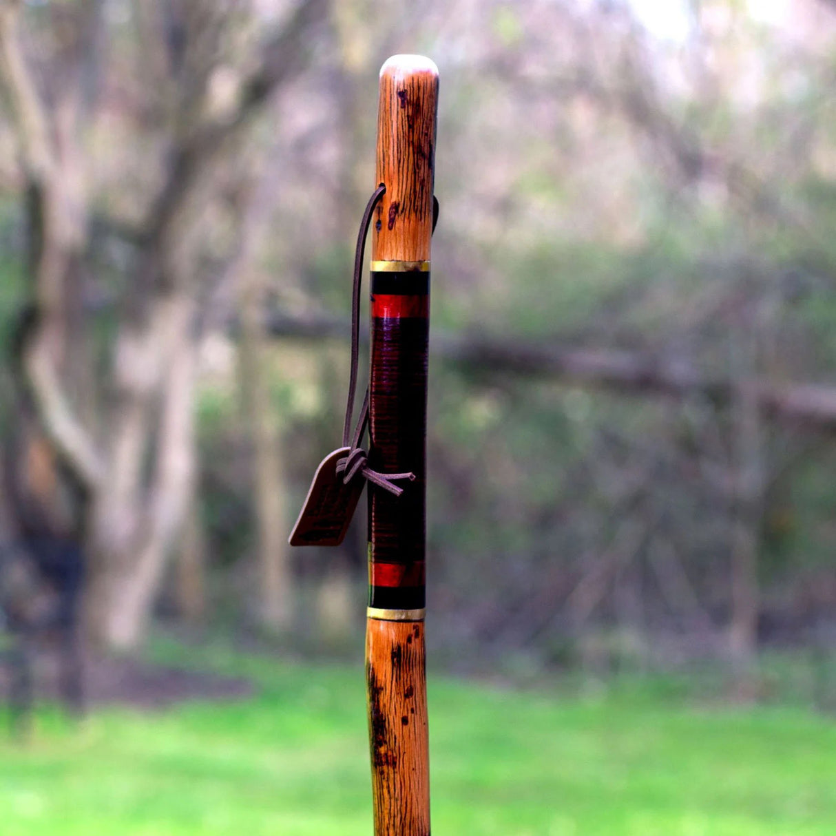 Walking Stick Brazos™ Free Form Wood 55 Inch Height Safari - BeHope